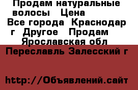 Продам натуральные волосы › Цена ­ 3 000 - Все города, Краснодар г. Другое » Продам   . Ярославская обл.,Переславль-Залесский г.